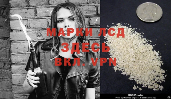 индика Белоозёрский