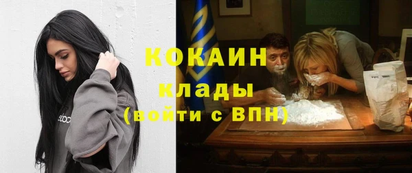 индика Белоозёрский