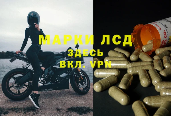 индика Белоозёрский