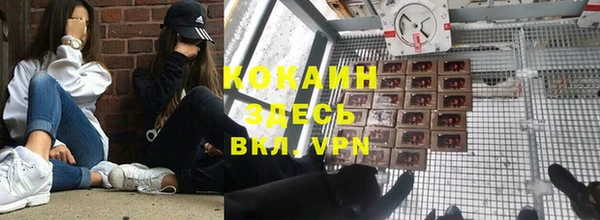 индика Белоозёрский